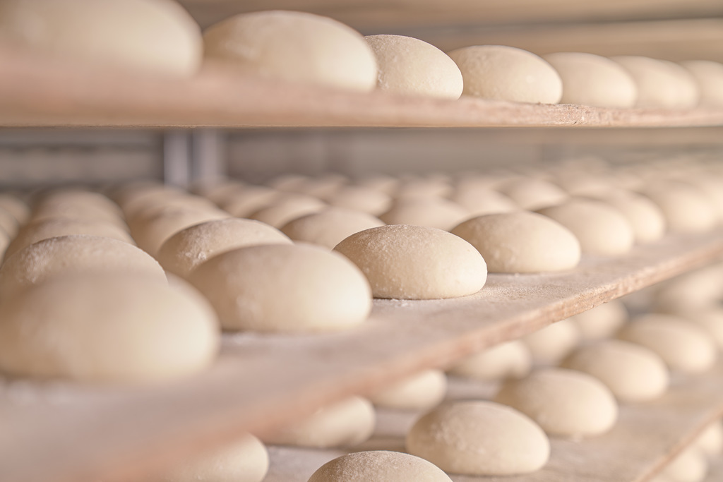 Massas de pão descansando e indicando qual a produtividade da melhor máquina massadeira para pão